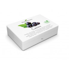 PHYTOPHARMA cassis pastilles