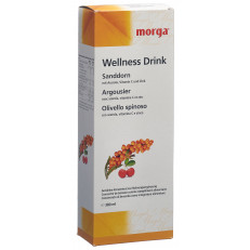 MORGA argousier wellness drink