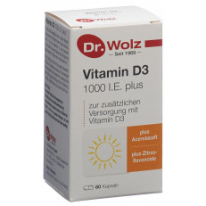 DR. WOLZ Vitamin D3 1000 I.E. plus caps