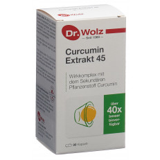 DR. WOLZ Extrait de curcumine 45 caps