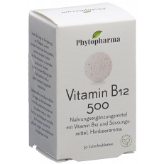 PHYTOPHARMA Vitamine B12 cpr sucer 500 mcg